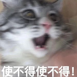 猫一顿饭要吃多少才够营养?吃罐头还是吃猫粮好?