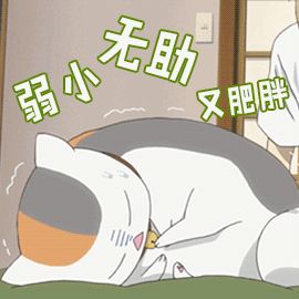 猫一顿饭要吃多少才够营养?吃罐头还是吃猫粮好?