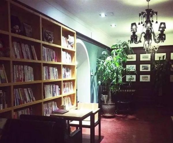 大连猫咪咖啡店，谁最让你动心？（主题咖啡店第二季）