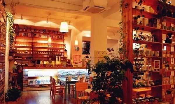 大连猫咪咖啡店，谁最让你动心？（主题咖啡店第二季）