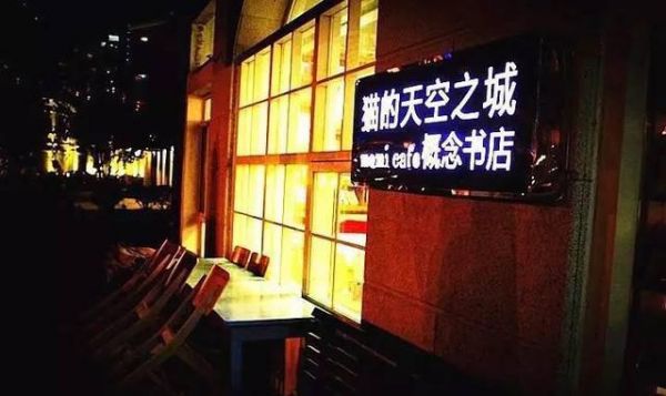 大连猫咪咖啡店，谁最让你动心？（主题咖啡店第二季）