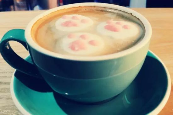 猫出没咖啡馆