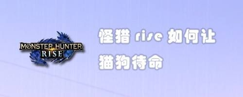 怪猎rise如何让猫狗待命