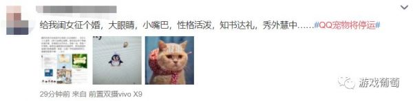 视点5.jpg