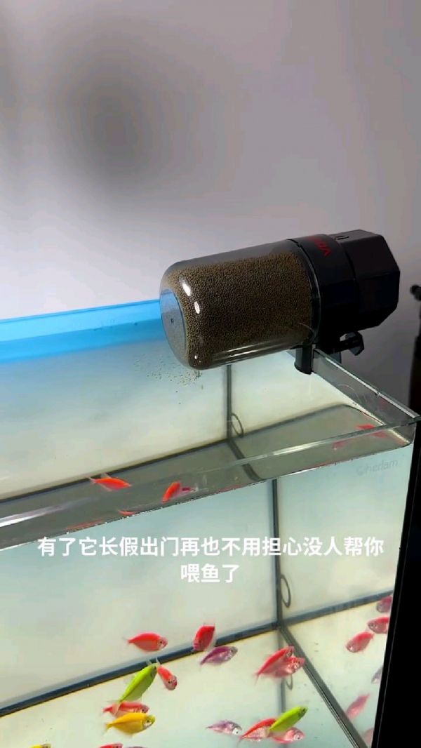 鱼缸喂食器哪个牌子好_鱼缸自动喂食器_智能鱼缸设备_鱼缸配件_自动养鱼设备
