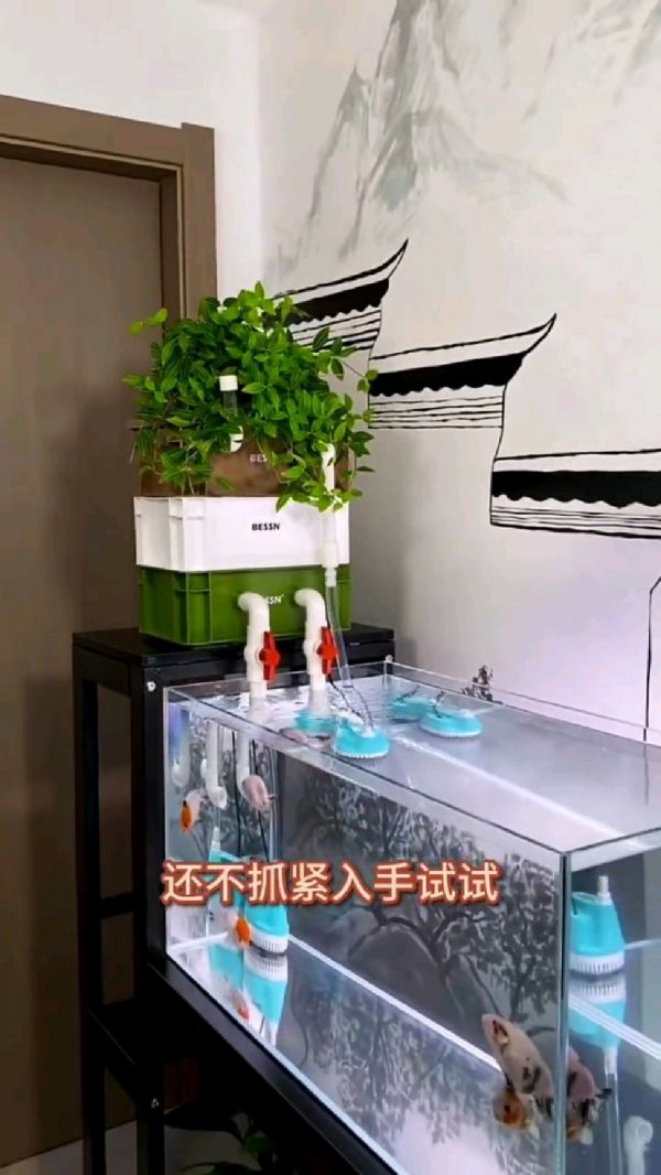 周转箱过滤器厂家_空气缸过滤器哪种好_周转箱过滤器效果_过滤器如何选择_空气缸制作教程