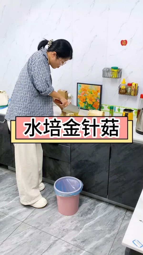 鱼缸水培植物教程_鱼缸种金针菇技巧_鱼缸生态养殖_水培蔬菜方法_鱼缸装饰DIY