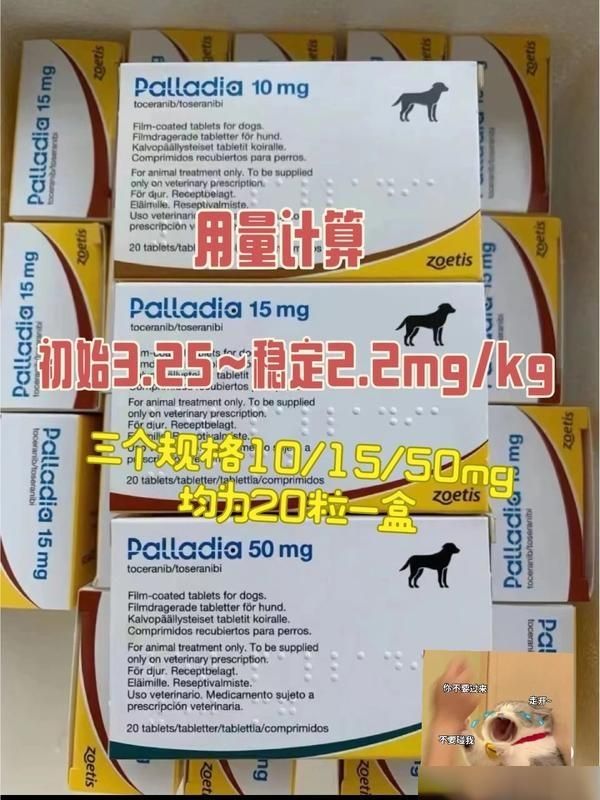猫咪狗狗得了癌症恶性肿瘤怎么办-有驾