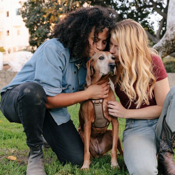 dogfamilly