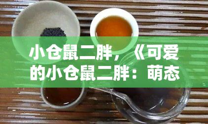 小仓鼠二胖，《可爱的小仓鼠二胖：萌态可掬的宠物伴侣》