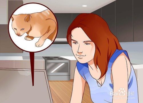 如何停止对猫的恐惧