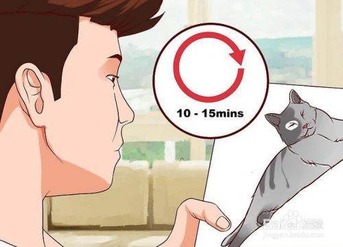 如何停止对猫的恐惧