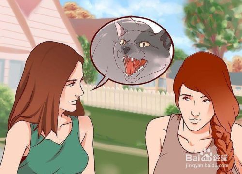 如何停止对猫的恐惧