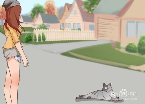 如何停止对猫的恐惧