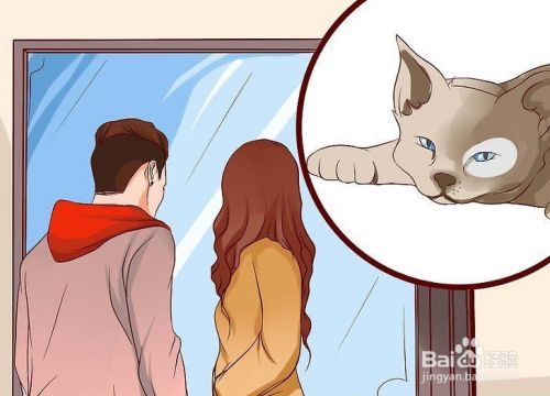 如何停止对猫的恐惧