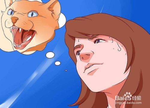 如何停止对猫的恐惧
