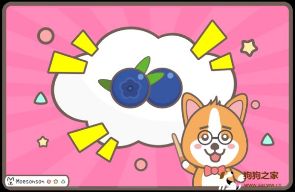狗狗可以吃蓝莓份量好处