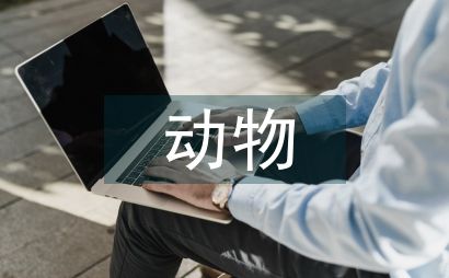 动物故事
