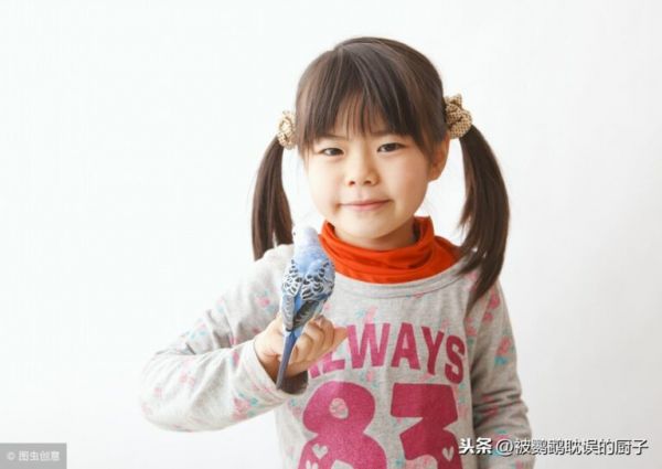家养鹦鹉的秘密! 想让你家鹦鹉健康, 你得做好这几件事儿!