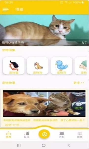 博猫app 2