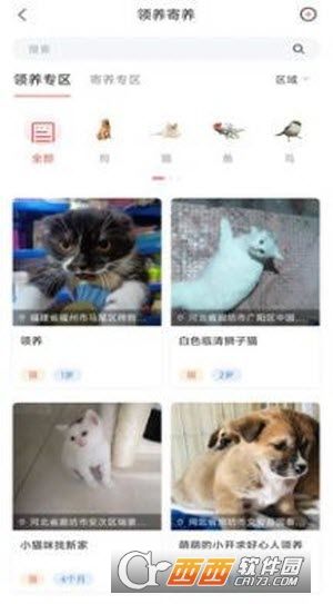 四季逗宠物知识