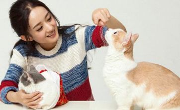如何给自己的猫咪洗澡？