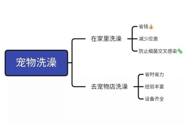 猫咪在宠物店洗澡真的有必要吗？教你怎么在家洗出宠物店的效果