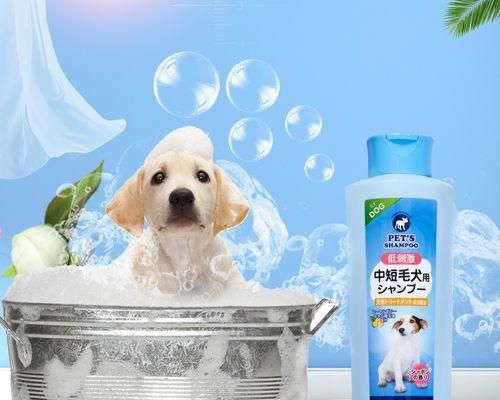 小狗洗澡多少钱一个（以实际经验为基础）