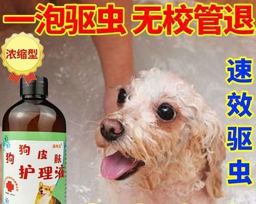狗狗泡澡指南——如何让你的宠物洗得更健康