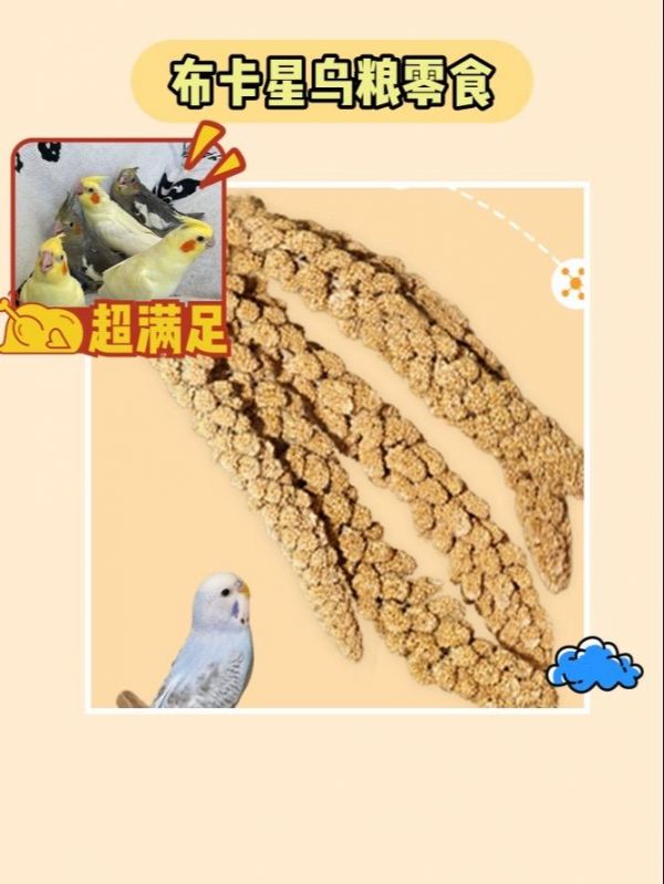 鸟儿最爱这款鸟粮啾～。我的布卡星鸟粮零食太让人惊艳了！新品布卡星鹦鹉谷穗天然黄谷子虎皮玄凤专用鸟粮零食，2024新带壳小米穗。口感松脆，味道迷人的黄谷子是它的特点！无论作为零食还是宠物的美食，都是一次完美的选择！快来尝一口吧！#神奇动物在抖音 #万物皆有灵性 #抖in萌宠计划 #萌宠日常记录 #萌宠好物