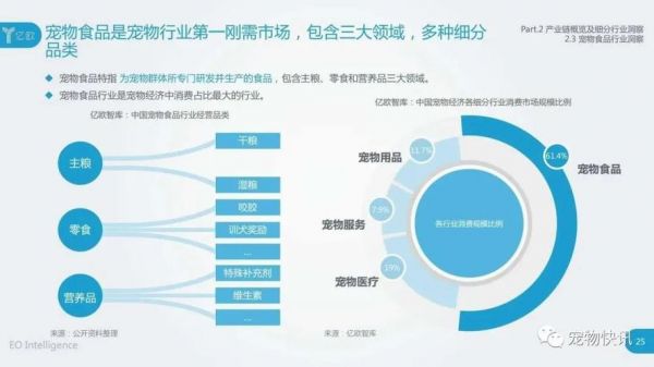 好的，以下是一个关于互联网宠物项目的概述范文