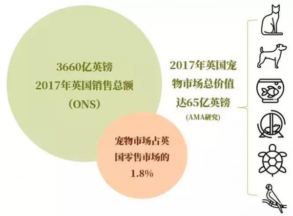 好的，以下是一个关于互联网宠物项目的概述范文