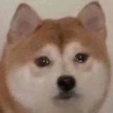 玛卡巴卡