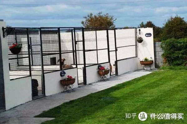 狗狗养殖的基本步骤
