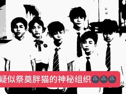 疑似纪念胖猫的神秘组织#潮流视频 #胖猫