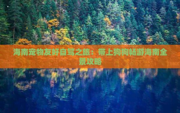 海南宠物友好自驾之旅：带上狗狗畅游海南全景攻略