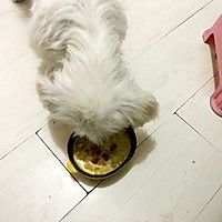 低脂减肥罗宋汤-宠物全家共享版【2】的做法图解9
