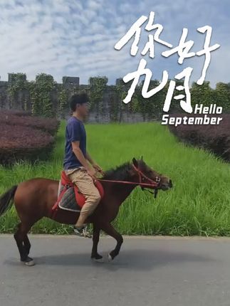 开心萌宠乐园~宠物疗愈基地:#骑马看世界 #一人一马一天涯