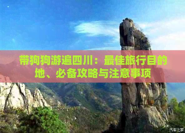 带狗狗游遍四川：更佳旅行目的地、必备攻略与注意事项