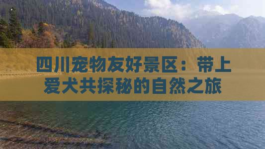 四川宠物友好景区：带上爱犬共探秘的自然之旅