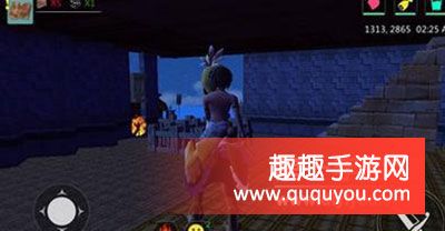 创造与魔法宠物吃什么饲料 宠物饲料搭配方法指南