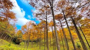 疾速 · 华盖山 驰骋防火道，多道60°绝望坡