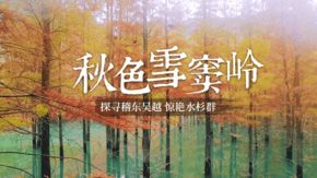 秋染·雪窦岭水杉林 徒步稽东吴越惊艳水杉群