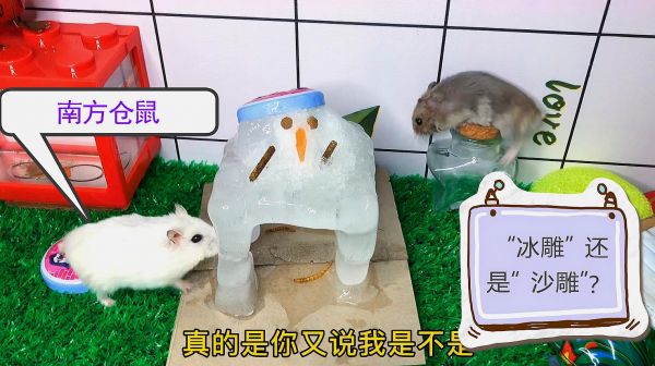 南方的仓鼠看到雪人是什么感觉？像极了南方小孩第一次看见雪