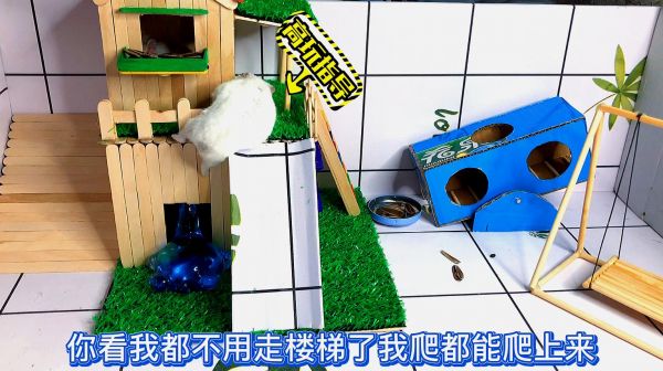 铲屎官给房子加装护栏和楼梯，仓鼠们竟不领情，坚决表演攀爬技术