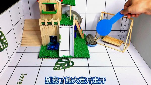 仓鼠吃瓜子满身出汗，要求铲屎官当佣人，轻松解决37度的高温天气
