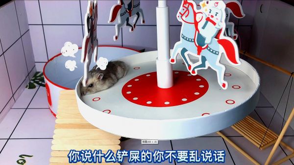 仓鼠熊二为了躲避熊大追击，潜伏在玩具里，没想到还是被揍了