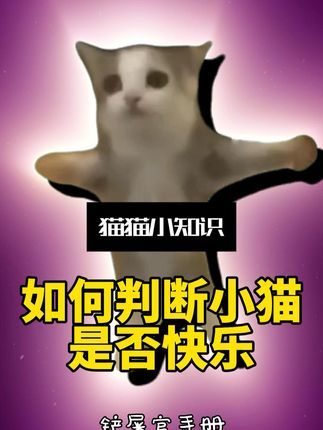 宠物研究Z所长:怎么知道猫咪是否过的开心?看看你家猫中枪了吗#猫知识 #养猫新手 #猫咪行为学 #万物可爱计划