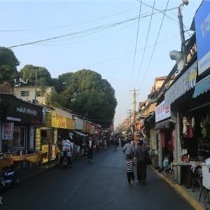 宠物市场