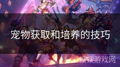 宠物获取和培养的技巧